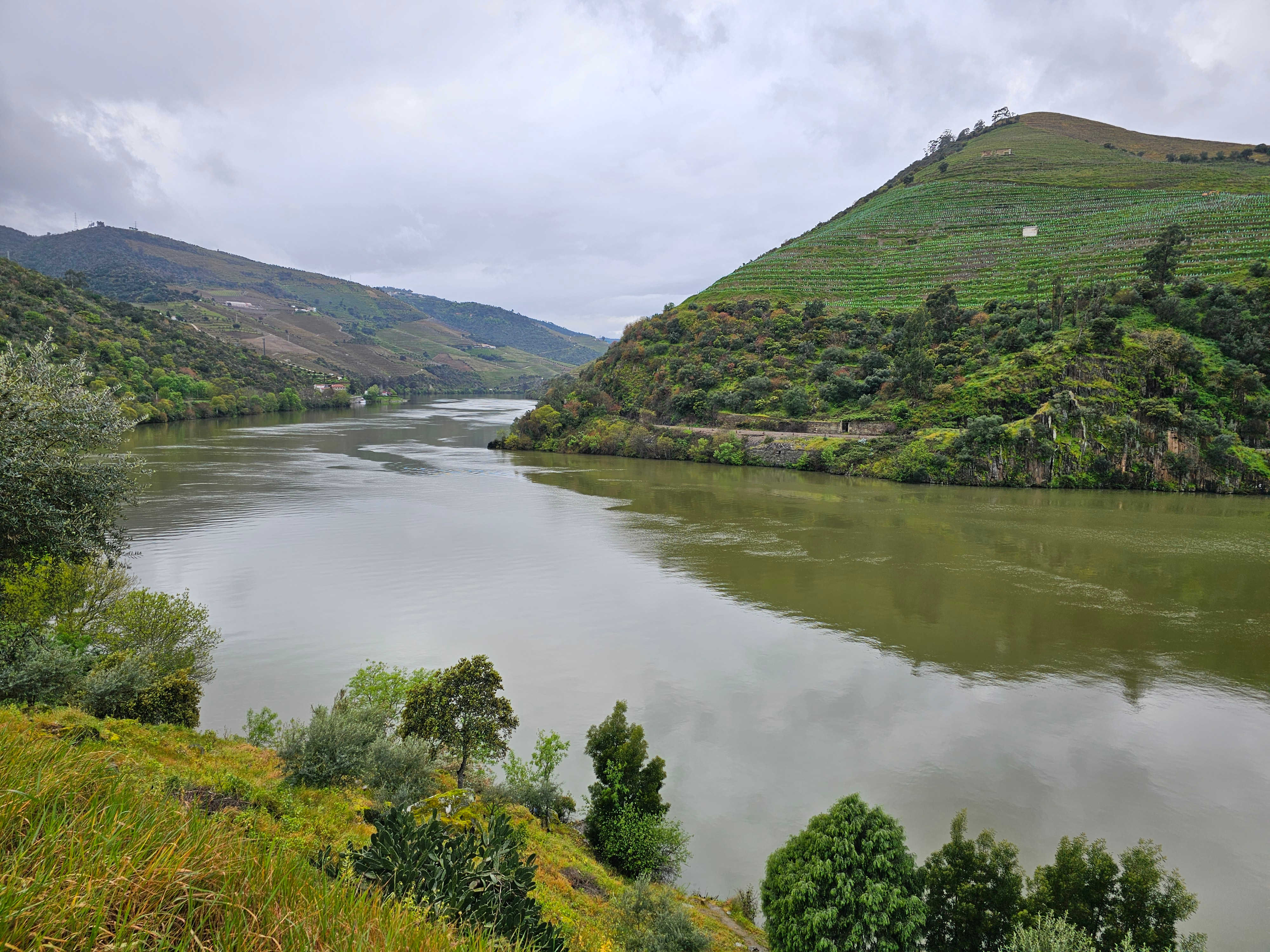 Douro